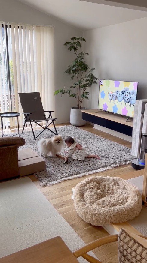 リビングで遊ぶ女の子を近くで見守る犬