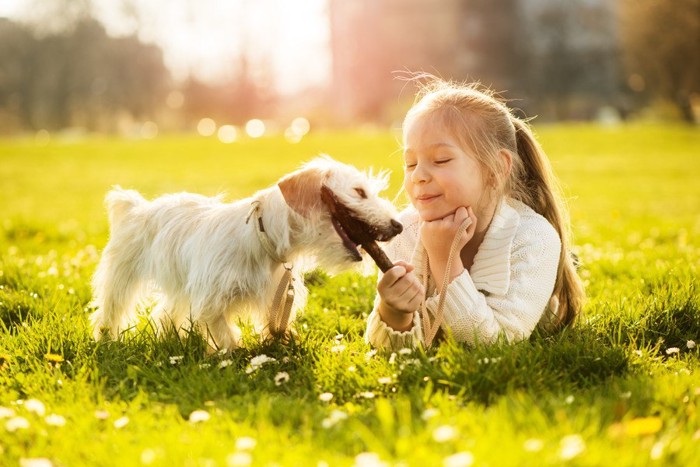 木の枝で遊ぶ子犬と女の子