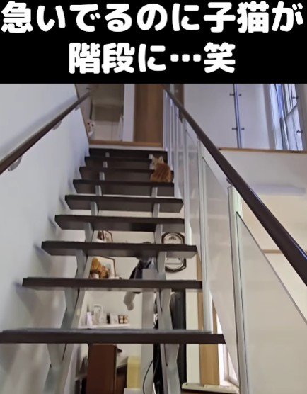 可愛い譲り合い♡