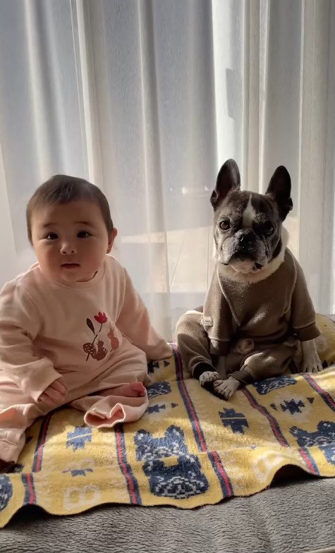 同じ大きさの赤ちゃんと犬