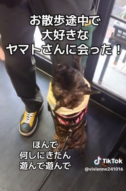 遊んで欲しいヴィヴィちゃん