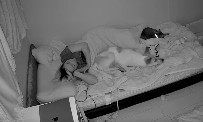 まめちゃんがむっくりと起床