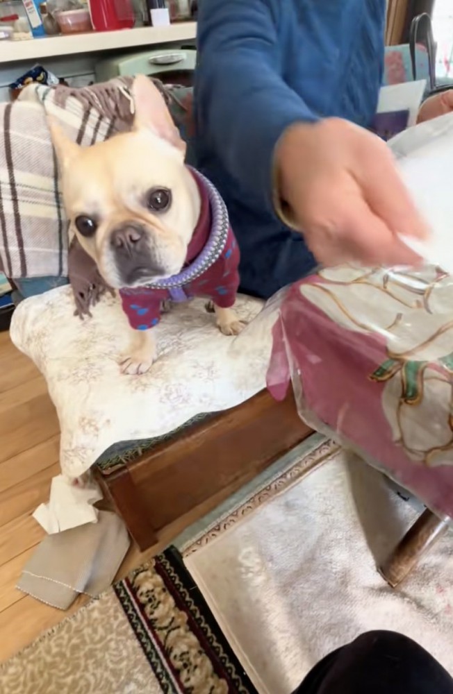 おばあちゃんの隣でのんびり