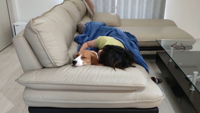 疲れ果ててすやすや…