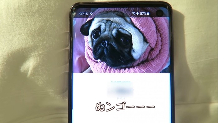 犬がうつったスマートフォンの画面