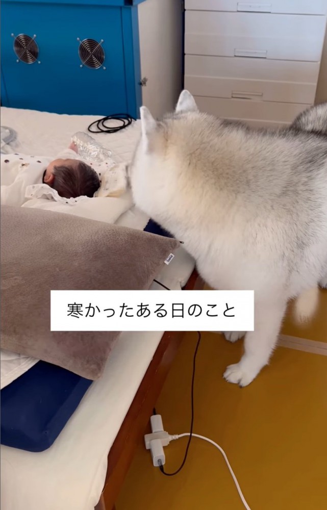 赤ちゃんに近づく