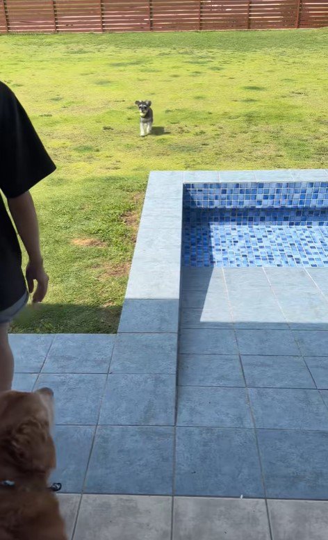 ボール遊び中のハプニング