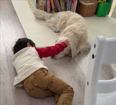 撫で撫で