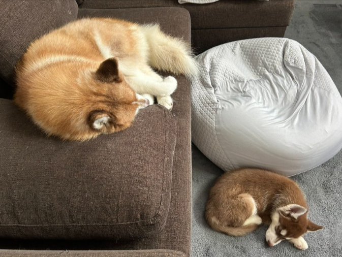 仲良し