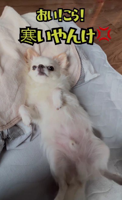 とっても不満そう