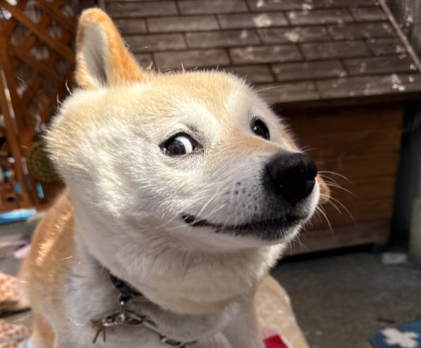 不思議な表情