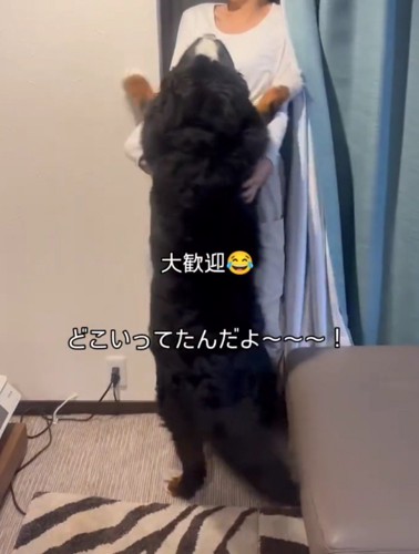 カーテン裏から出てきた女性に飛びつく犬
