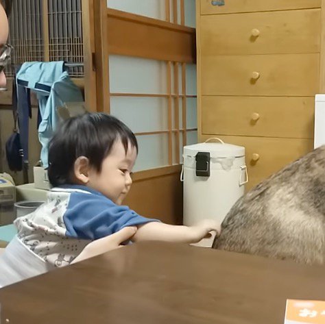 笑顔で犬の背中を撫でる赤ちゃん