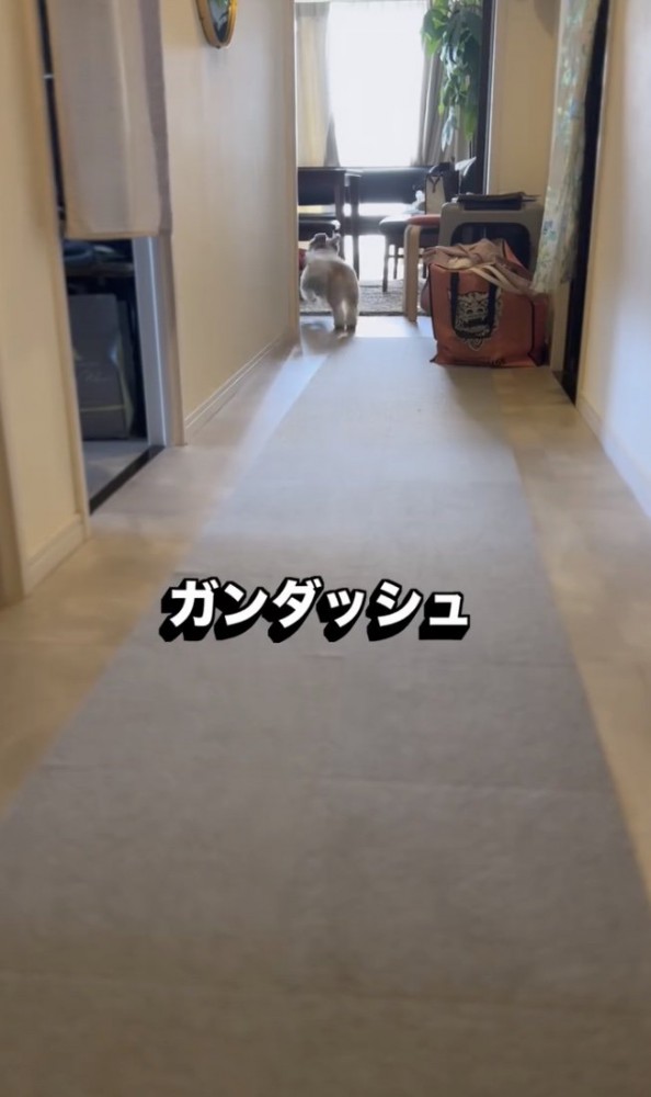 何を持ってきてくれるかな?