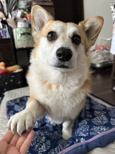 おて