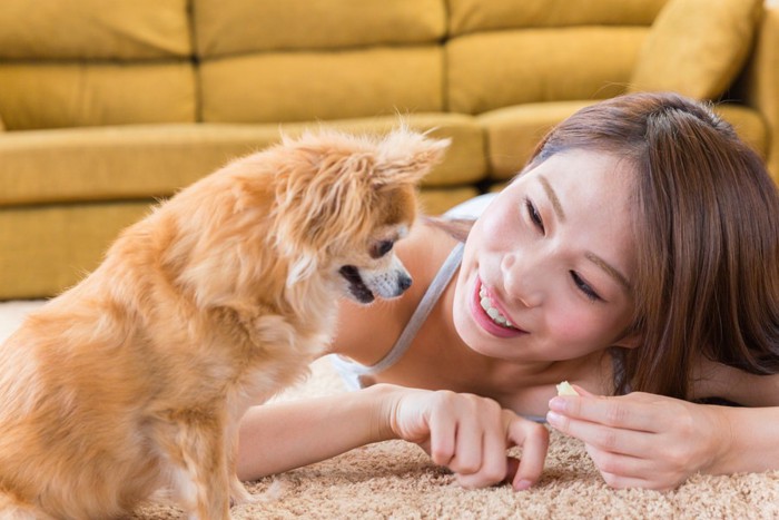 犬におやつを見せる女性