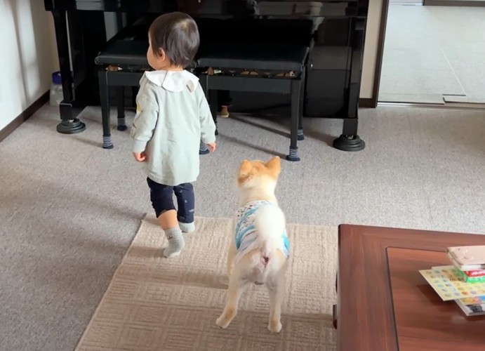 子供後ろを歩く犬