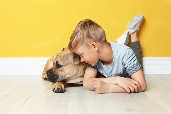 家の中で遊ぶ子供と寝そべる犬