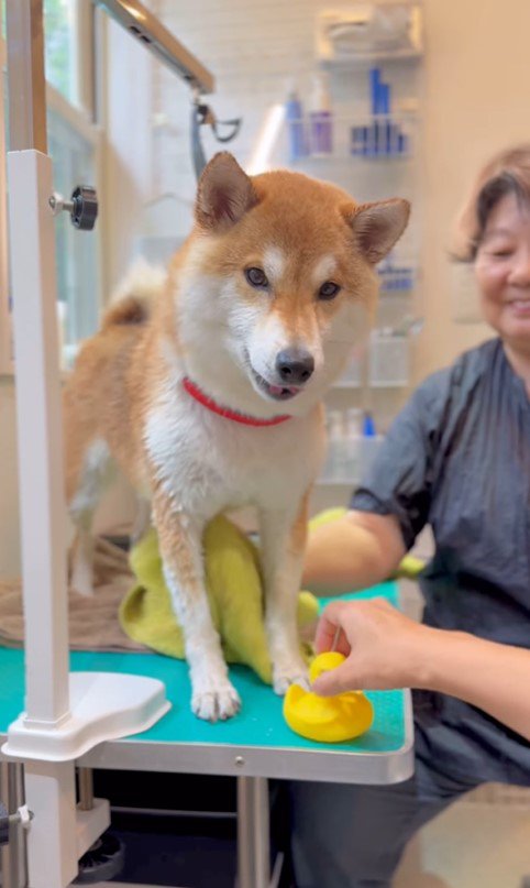 ママさんに文句を言う定春くん3