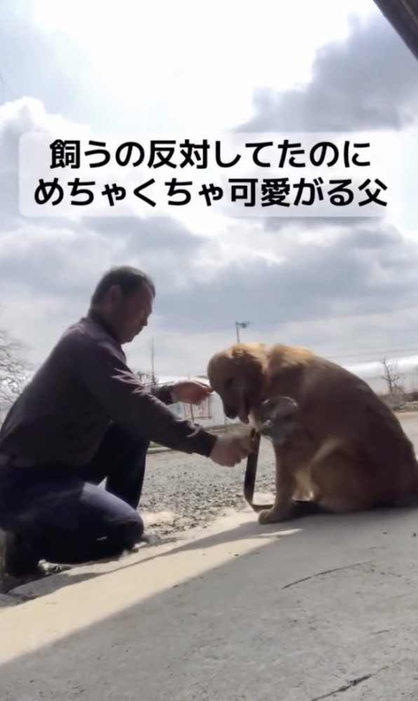 穏やかな空間