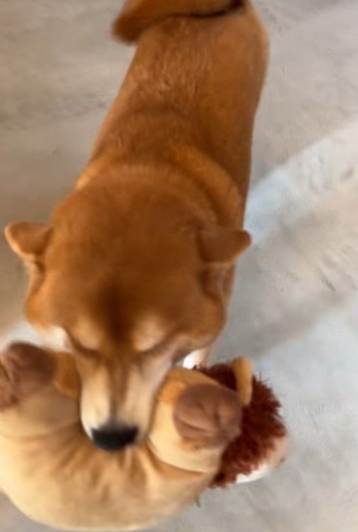 「おかえり!待ってたよ」