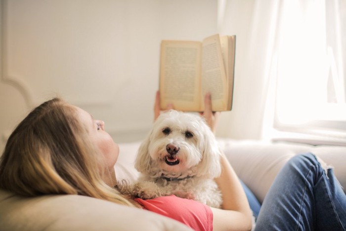 女性のお腹の上の白い犬