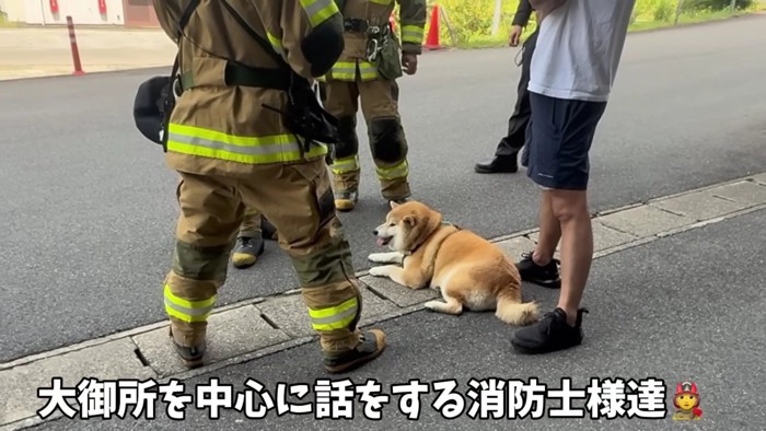 輪の中心にいるおもちちゃん