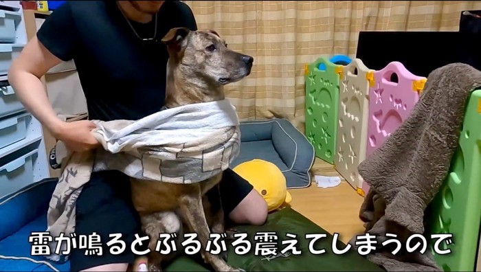 犬の胸元にタオルを巻く男性