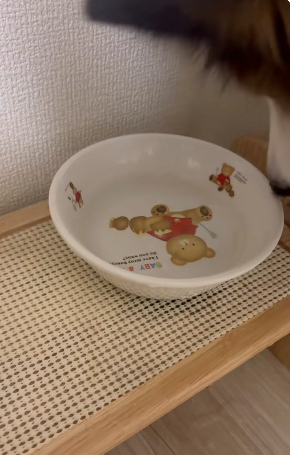 水を見るさつまくん