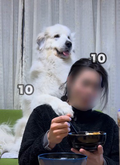 パンチを連発！