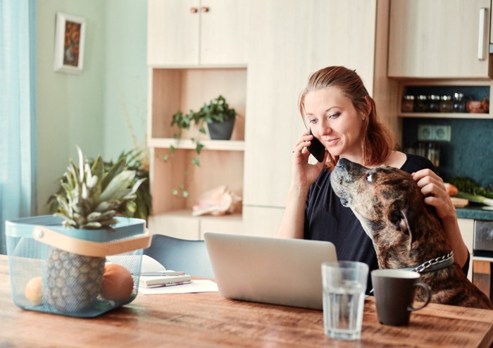 電話しながらPC画面を眺める女性にちょっかいをだす犬