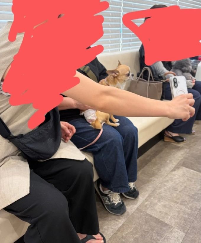 記念撮影中の微笑ましい光景