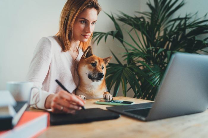 オフィスで働く女性と寄り添う柴犬