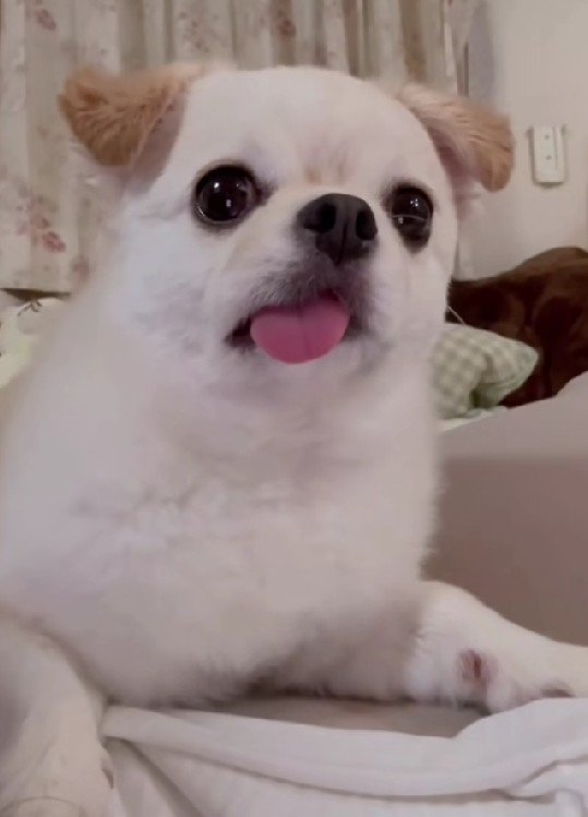 「え…どういうこと…？」