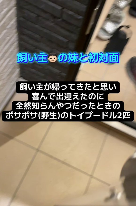 ドッキリを仕掛ける妹さん