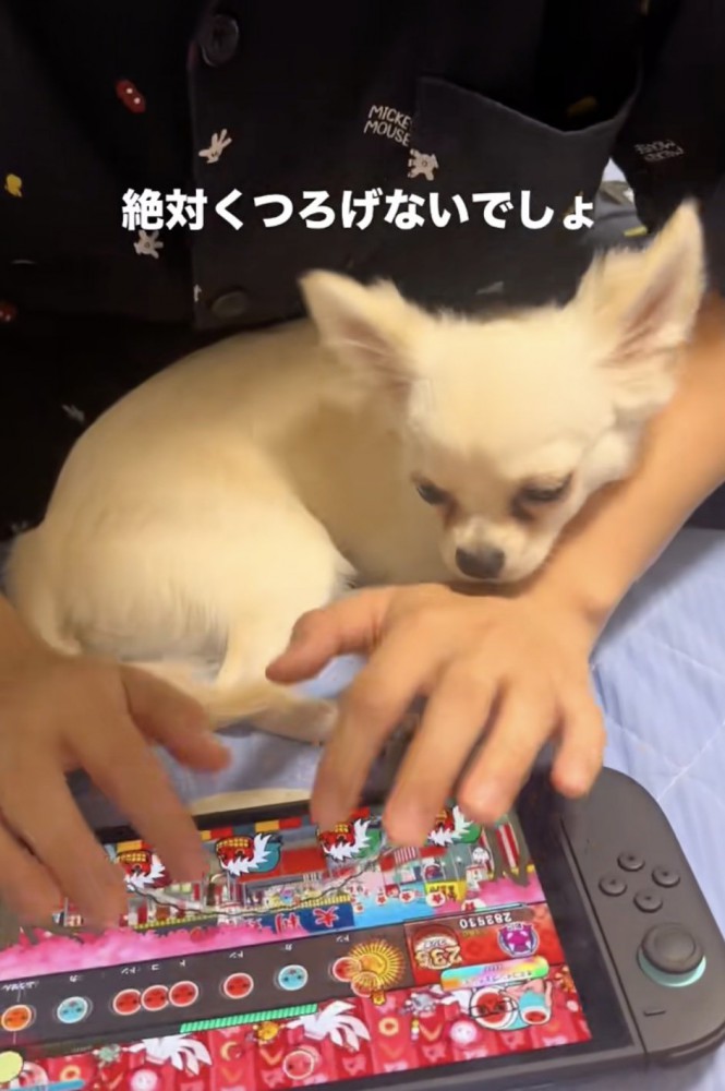 「太鼓の達人」プレイ中