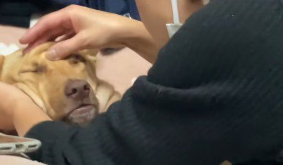 全身の力が抜けていった