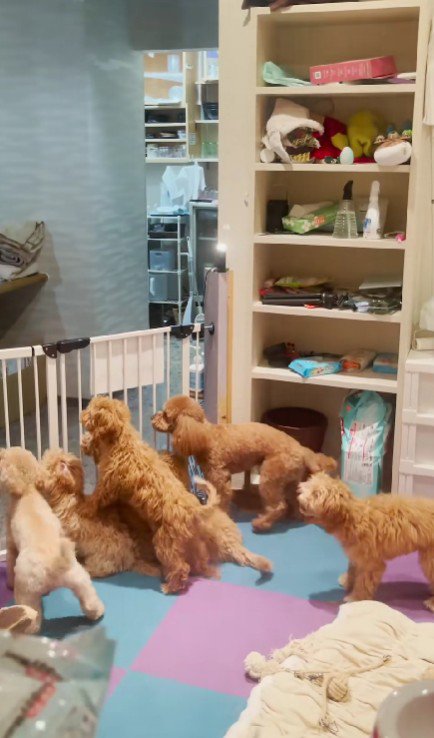 「行かないで！」の大合唱！！