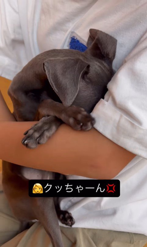 反省中のクッカちゃん6