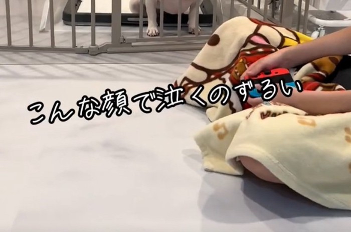 コメント