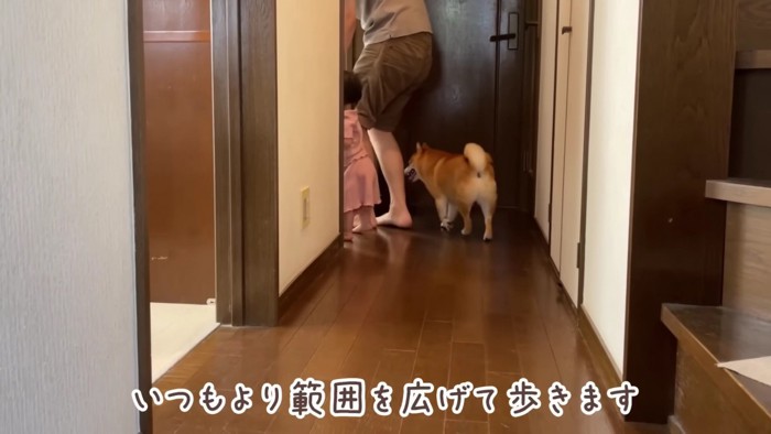 廊下を行ったり来たり♪