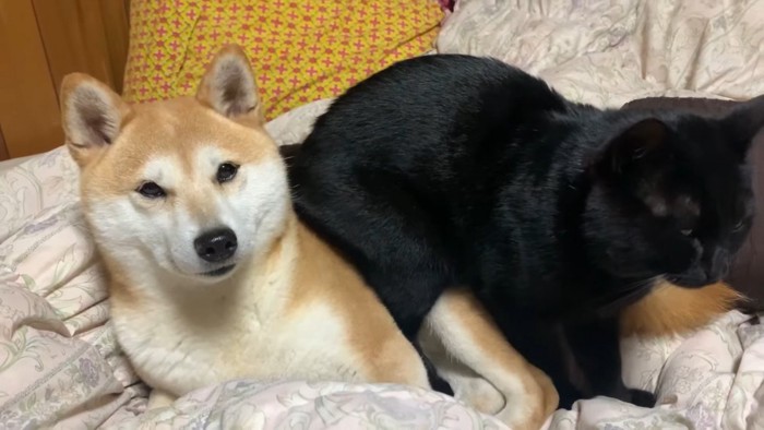 「どいてあげないの?」と声を掛けたら…