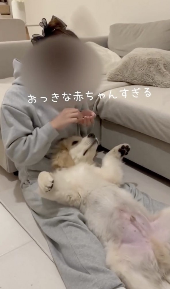 「！！」