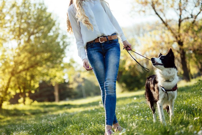 散歩をする女性と犬