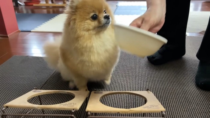 おばあちゃんがごはんを用意