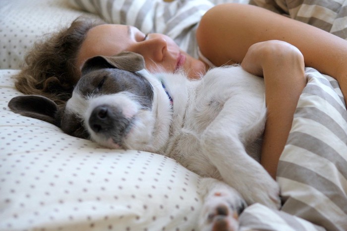 犬を抱きしめて寝る