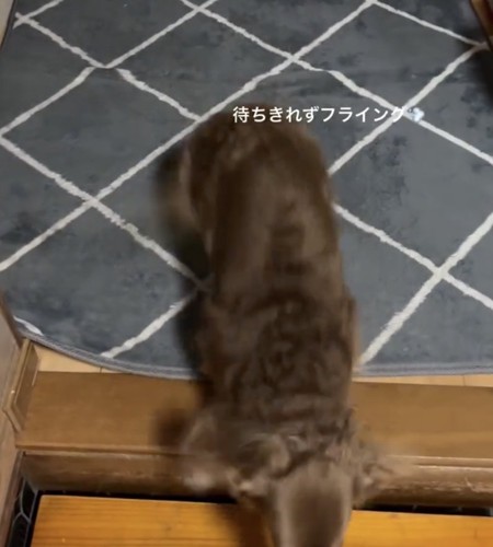 飛び出しちゃう!?