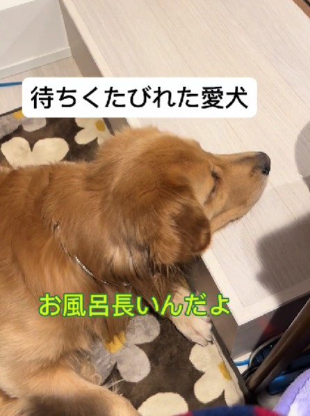 「まだ…？」