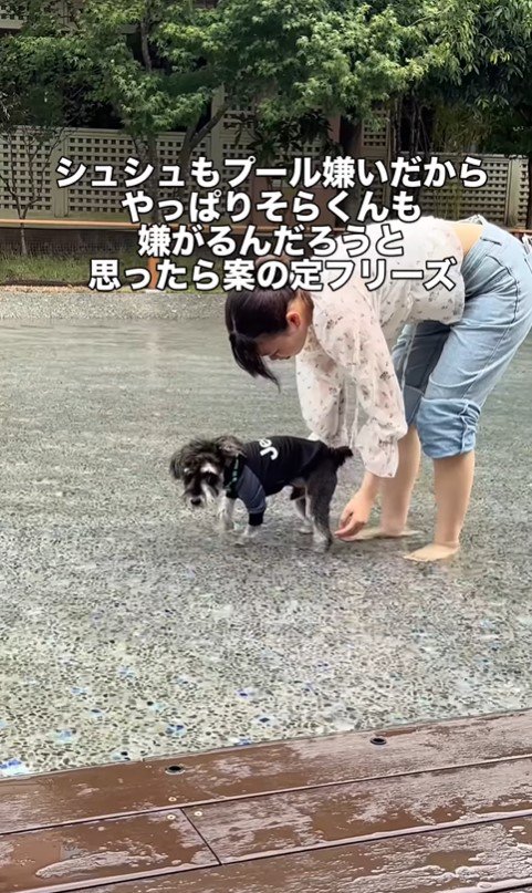 初めてプールに入ったそらまめ君3