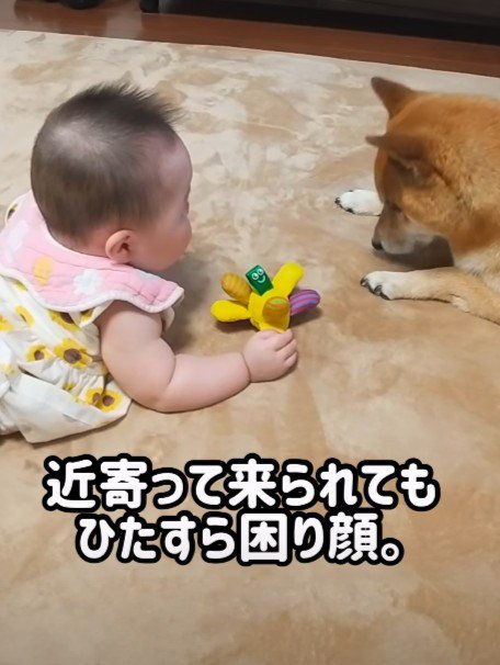 どうしていいか分からない…